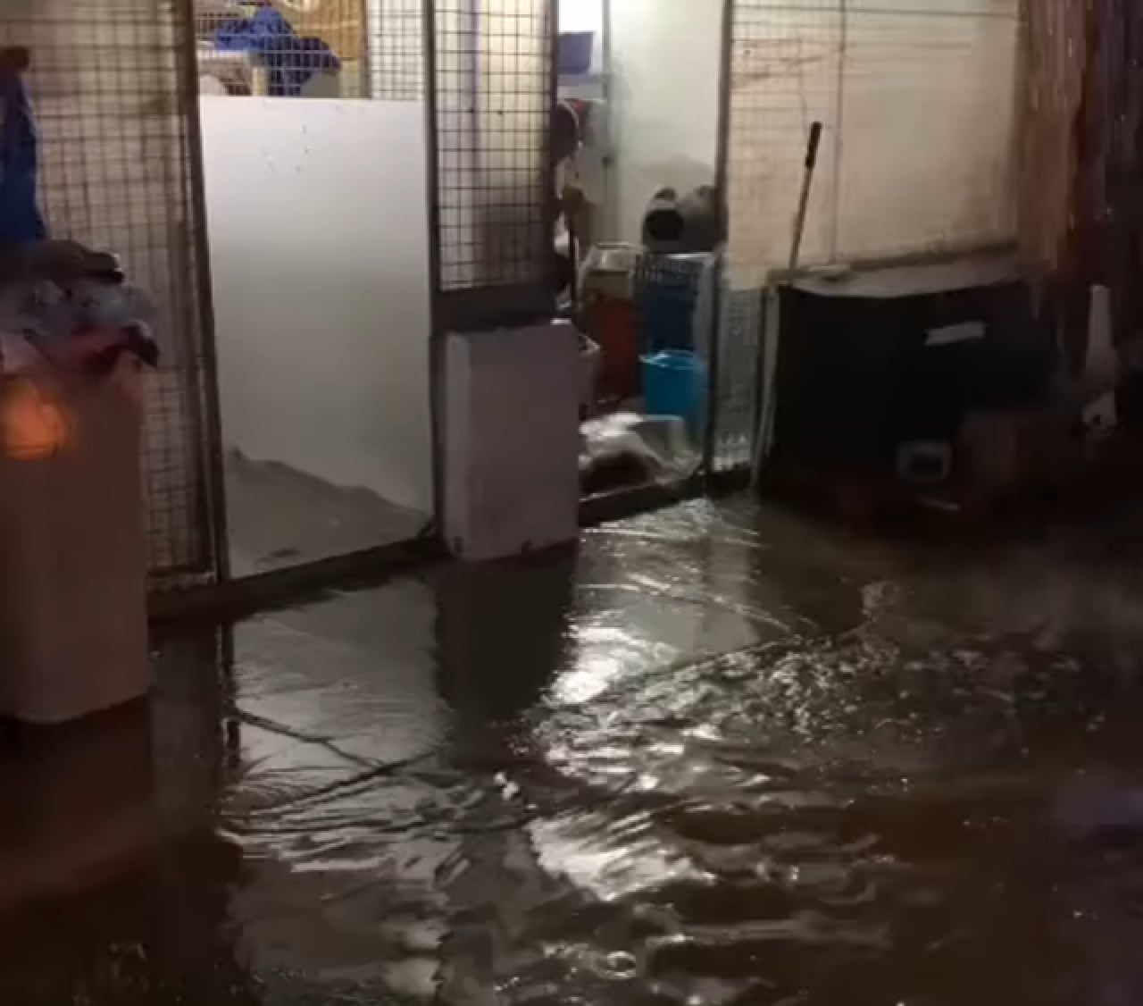 Imatge de les instal·lacions de la protectora d&#039;animals de Tarragona, inundades pels aiguats d&#039;aquest dimecres