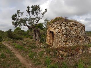 Una barraca de pedra seca al nucli de Sant Vicenç de Calders