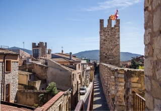 La visita inclou el pas de ronda i les torres de la muralla de Montblanc