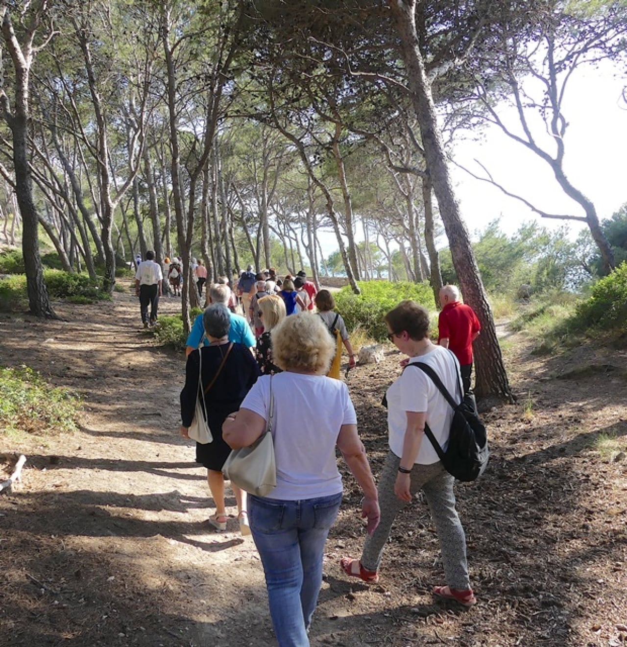 Prop de 90 persones va fer la Ruta dels Miradors, que transcorre pel Camí de Ronda, amb parada en diverses platges i miradors