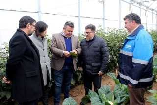 L&#039;estació experimental de BASF a Utrera (Sevilla) desenvolupa una tasca innovadora en la protecció de cultius