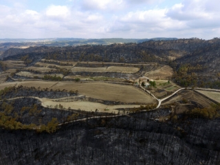 Pla aeri de zones forestals i agrícoles afectades per l&#039;incendi de la Baixa Segarra (Conca de Barberà) i l&#039;Anoia