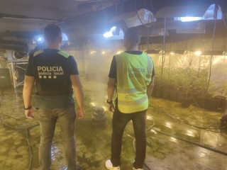 Un agent de la Guàrdia Civil i un de la Policia Local de Roda de Berà, d&#039;esquenes, en una nau industrial on hi havia una plantació de marihuana