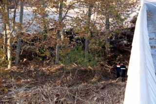 Un grup de Bombers treballant entre els arbres, a la llera del riu Francolí, per retirar les despulles localitzades, sota el pont de l&#039;N-240 a Montblanc
