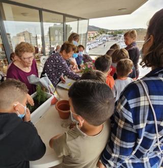 Els escolars van fer una activitat intergeneracional amb les persones grans, amb la preparació de les jardineres i torretes per guarnir la terrassa del centre