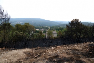 Una de les zones de la urbanització Mas Bermell afectada per l&#039;incendi de vegetació forestal al terme municipal de Querol (Alt Camp)