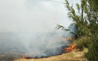 Imatge d&#039;arxiu d&#039;un foc al Baix Gaià