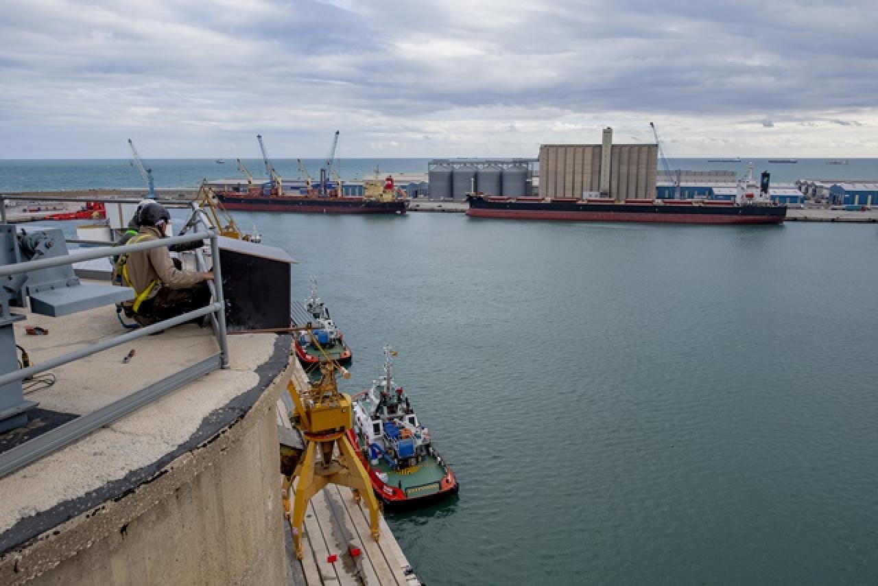 El Port de Tarragona ha instal·lat una caixa niu per a la nidificació del falcó pelegrí a la sitja del moll de Reus 
