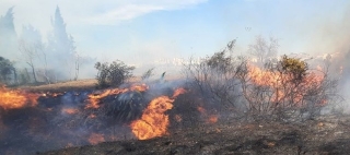 Imatge de l&#039;incendi al polígon de Constantí. El foc crema en alta intensitat i afecta matoll i canya i genera focus secundaris