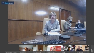 La presidenta de la Diputació de Tarragona, Noemí Llauradó, durant el ple telemàtic d&#039;aquest divendres
