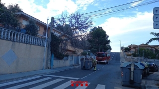 Els bombers retiren un arbre a l&#039;avinguda Marca Hispànica de Calafell