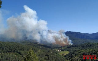 Foc forestal a Pradell de la Teixeta (Priorat) 