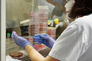Imatge d&#039;arxiu d&#039;una infermera preparant una presa de mostra de PCR 