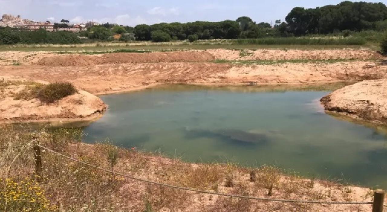 Imatge de la Plana del Vinyet, un paratge natural de 23 hectàrees vora el riu Gaià que pertany al terme municipal de Tarragona i que reclama el govern d&#039;Altafulla