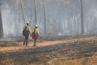 Dos bombers caminen en una zona cremada pel foc de la urbanització de Mas del Plata a Cabra del Camp, el passat 7 d&#039;agost