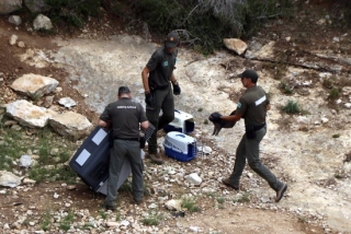 Agents rurals traslladant un porc vietnamita cap a unes gàbies al parc de la Muntanyeta de Tarragona, el 9 de setembre del 2019