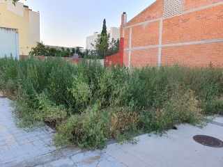 L&#039;Ajuntament del Morell vol evitar que hi hagi vegetació abundant descontrolada i vigilar les basses i els focus d’aigua estancada