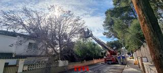Els bombers retiren un arbre caigut a sobre d&#039;una casa del passatge de Turquia, a Segur de Calafell