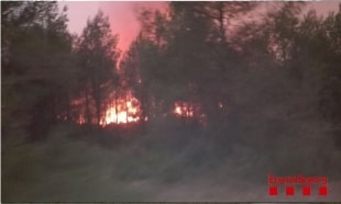 Imatge del flanc esquerra de l&#039;incendi que afecta la Pobla de Montornès, Bonastre, Creixell i Vespella de Gaià.