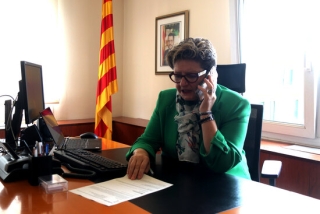 Imatge de la delegada del Govern, Teresa Pallarès, treballant al seu despatx a la delegació de Tarragona
