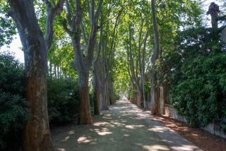 El passeig de la Boca de la Mina, un dels actuals pulmons verds de Reus