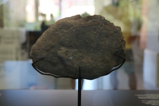 Imatge de la plaqueta del Paleolític superior que es va trobar a les Coves del Fem i que s&#039;exposa a l&#039;Ajuntament d&#039;Ulldemolins fins aquest dissabte