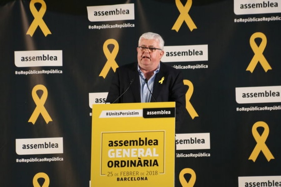 El vicepresident de l&#039;ANC, Agustí Alcoberro, durant el seu parlament en la cloenda de l&#039;assemblea general