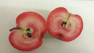 Detall d&#039;una poma de polpa vermella partida per la meitat