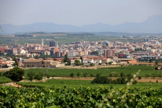 Vista general de Vilafranca del Penedès, des d&#039;unes vinyes situades a pocs quilòmetres