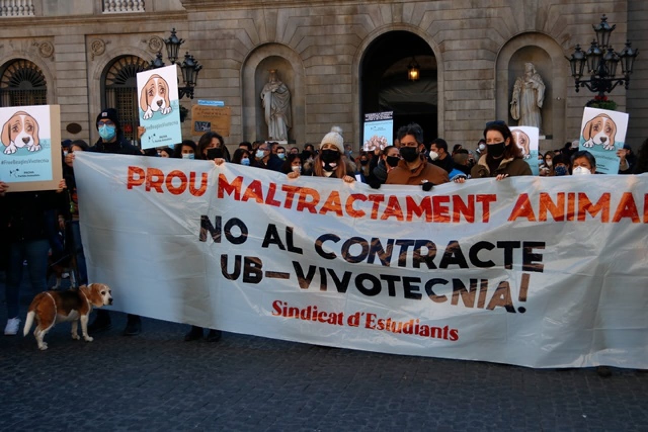 Diverses persones sostenen una pancarta que reclama posar fi al maltractament animal i rebutja el contracte de la UB amb Vivotecnia