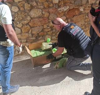 La unitat d&#039;artificiers dels Mossos, els Tedax, han retirat aquest divendres 280 cartutxos de dinamita, 4 granades de mà i munició diversa d&#039;una masia de la Morera de Montsant