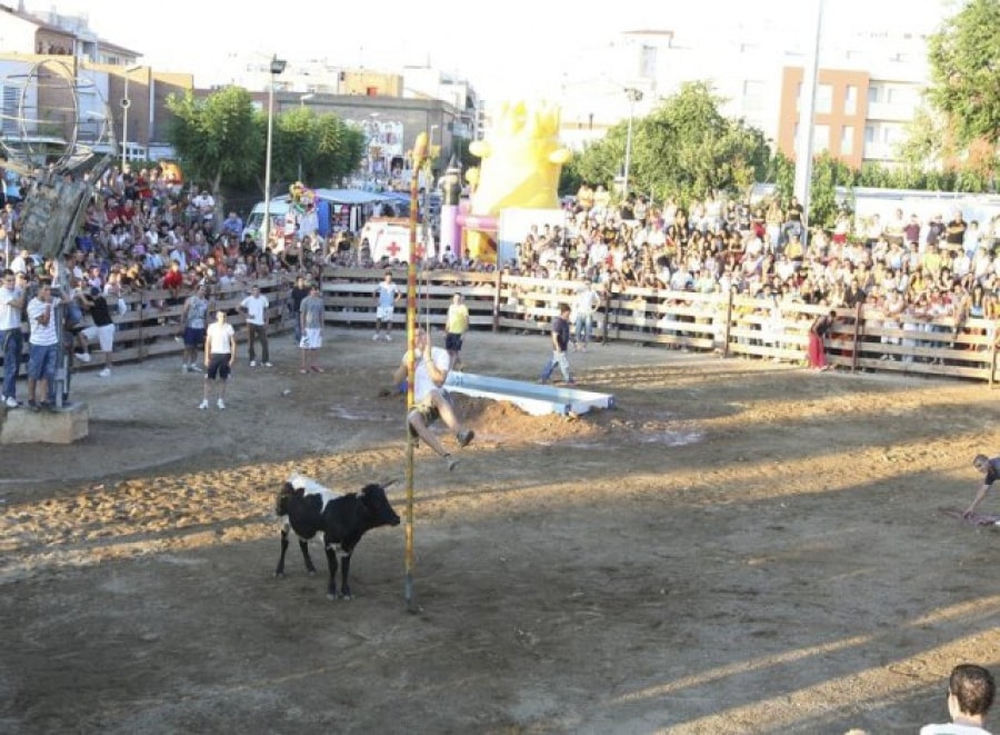 La tempta de vaquetes s&#039;organitza des de fa 30 anys al Morell, i és un dels municipis reconegut pel Govern per la seva tradició de celebrar festes amb bous.