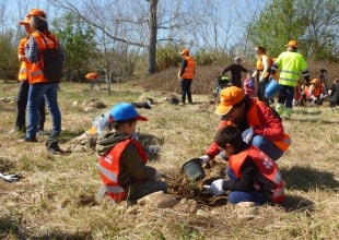 Moltes famílies i grups d’amics han participat en la Plantada Popular de Repsol per posar el seu granet de sorra plantant un arbre.