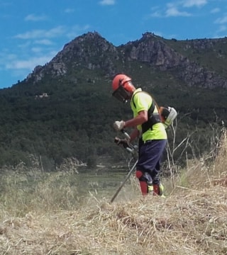 Un treballador de la brigada forestal inclòs en el nou pla d&#039;ocupació comarcal del Baix Penedès