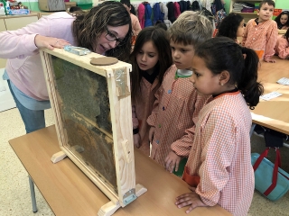 Imatge dels nens de Roda de Berà durant la realització de les activitats sobre les abelles