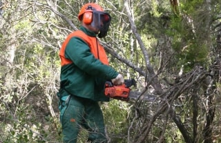 Un operari estassa i neteja una zona boscosa en una foto d&#039;arxiu