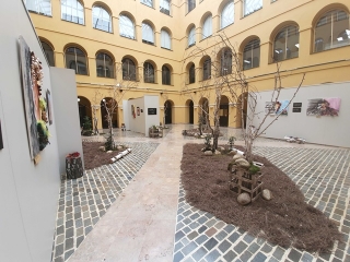El Pati del Palau de la Diputació de Tarragona presenta l&#039;exposició &#039;Orgulloses de rebrotar&#039;, de Coia Robert