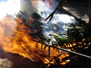 Calçots coent-se en una graella sobre flama viva en un restaurant de Valls