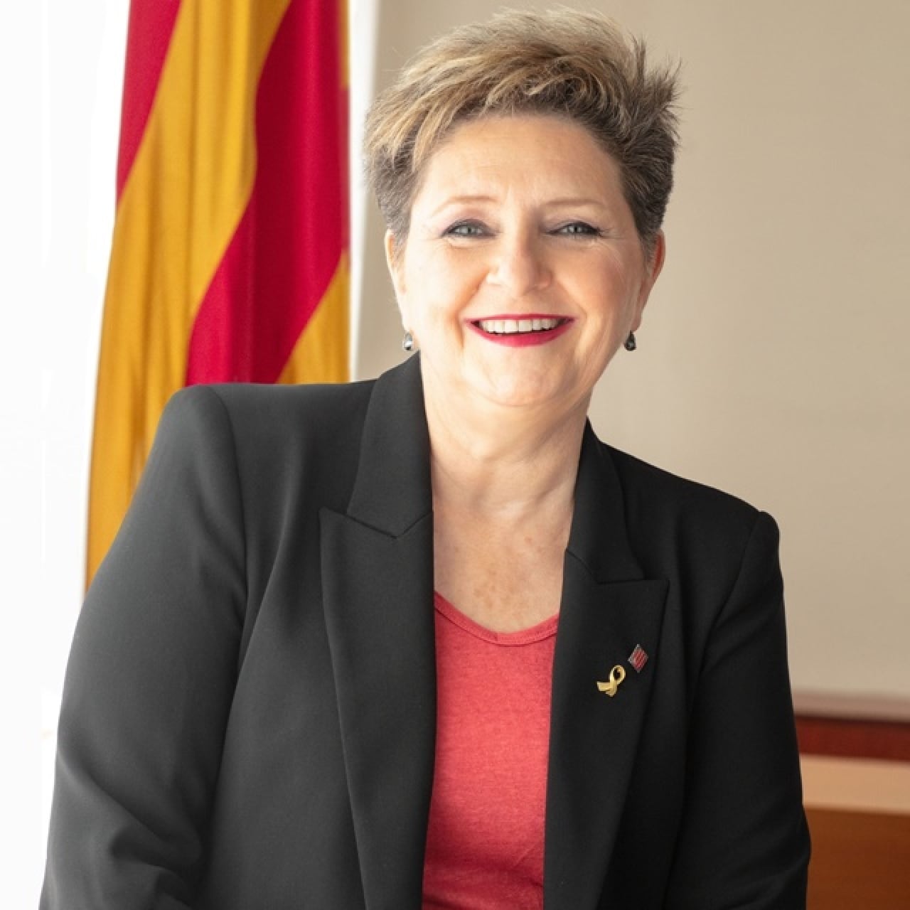L&#039;actual delegada del Govern al Camp de Tarragona, Teresa Pallarès, és l&#039;única candidata després de la renúncia de Víctor Terradellas