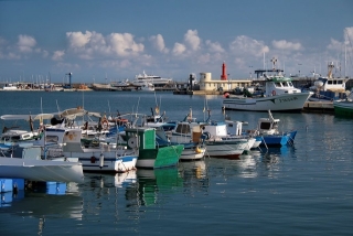 Els Mossos d&#039;Esquadra van denunciar al maig dues persones per realitzar pesca irregular de dàtil de mar a la zona del Port de Cambrils