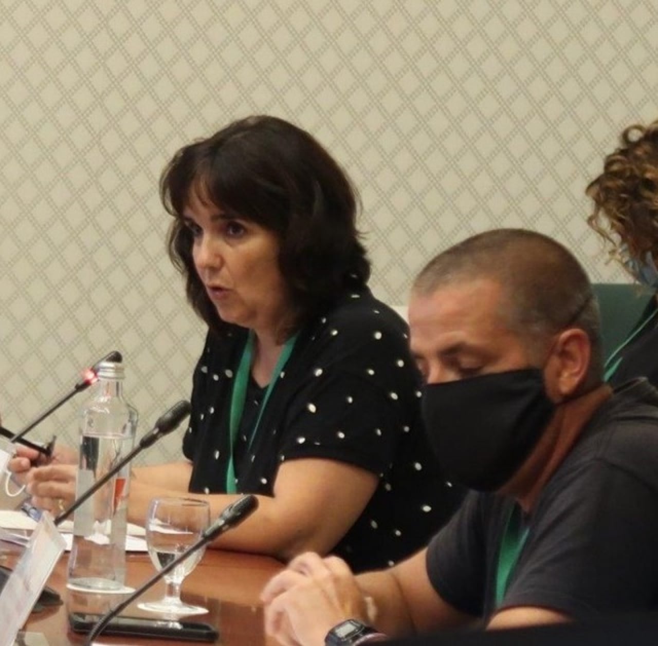 Imatge d&#039;arxiu de la presidenta de la FAV Llevant, Gemma Fusté, intervenint en una comissió del Parlament de Catalunya arran de l&#039;accident d&#039;Iqoxe, el setembre de 2020
