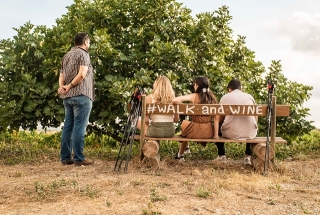 El &#039;Walk &amp; Wine&#039; del celler de Cabra del Camp consisteix en fer dues rutes amb un tast de vins: la ruta blava, de 3,65 km, o la ruta verda, d&#039;1,60 km