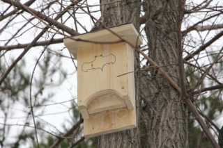 Una de les caixes refugi per a ratpenats que va instal·lar l&#039;Ajuntament de Sant Cugat per combatre els mosquits tigre