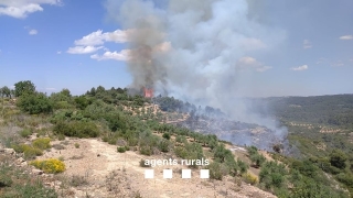 Incendi forestal a la Serra de la Llena, a la Pobla de Cérvoles