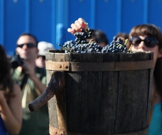 La festa mostra la feina a la vinya en temps de verema no fa tants anys i convida a degustar vins de la DOQ Priorat