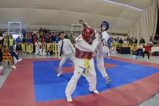 Imatge de l&#039;Open de Taekwondo de Marina d&#039;Or
