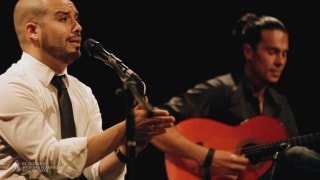 L&#039;artista flamenc Juan Manuel Mora durant una de les seves actuacions de l&#039;espectacle &#039;Tiempo Flamenco&#039;