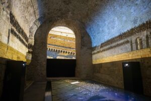 TJERK VAN DER MEULEN