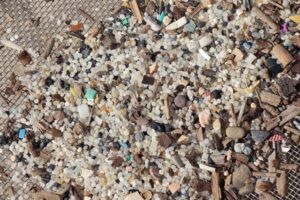 NEUS BERTOLA - ARXIU / ACN