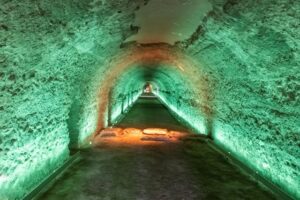 JOAN CARLES BORRACHERO